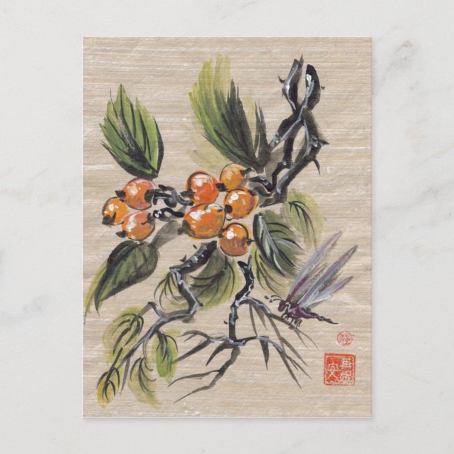 Chinese Loquat Fruit Postcard (Front)