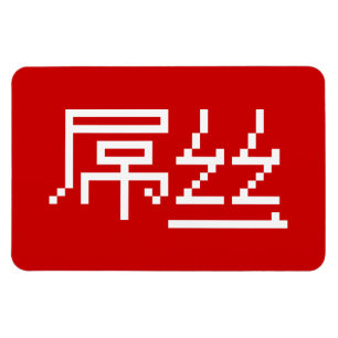Chinese Loser / Diaosi 屌丝 Hanzi MEME Magnet