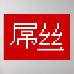 Chinese Loser / Diaosi 屌丝 Hanzi MEME Poster