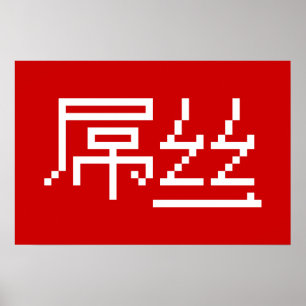 Chinese Loser / Diaosi 屌丝 Hanzi MEME Poster