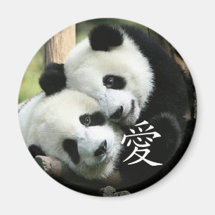 Chinese Loving Little Giant Pandas Magnet