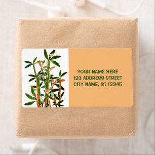 Chinese Lucky Bamboo Plants. personalised