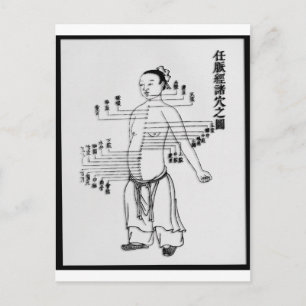 Chinese Medicine chart Postcard