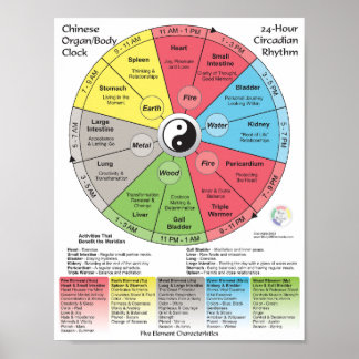 Chinese Medicine Meridian Body Clock Poster