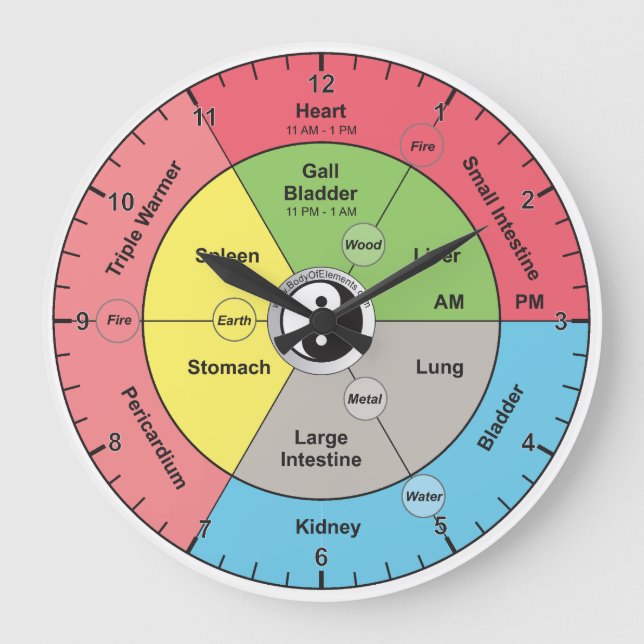 Chinese Meridian Body Organ Clock (Front)