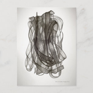 Chinese Noodle Postcard