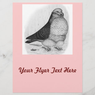 Chinese Owl Pigeon Ink Drawing Flyer
