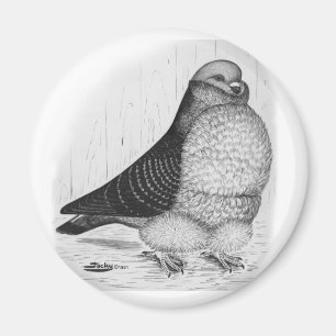 Chinese Owl Pigeon Ink Drawing Magnet