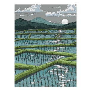 Chinese Paddy Field Poster