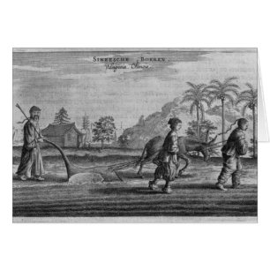Chinese Peasants, a General Description from an ac