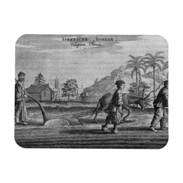 Chinese Peasants, a General Description from an ac Magnet (Horizontal)