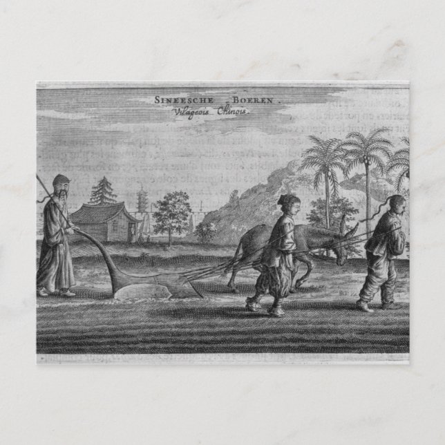 Chinese Peasants, a General Description from an ac Postcard (Front)