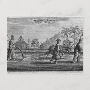 Chinese Peasants, a General Description from an ac Postcard