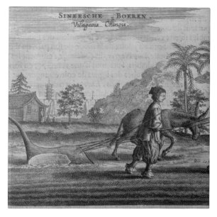 Chinese Peasants, a General Description from an ac Tile
