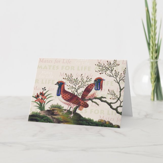 Chinese Pheasants Valentine's Day Card (Front)