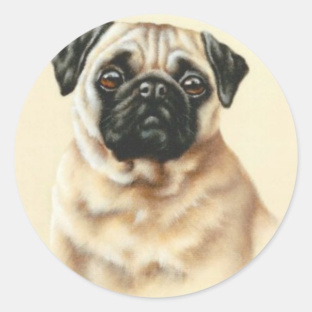 Chinese Pug Classic Round Sticker (Front)