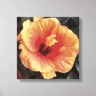 Chinese Rose Flower Artistic Floral Bloom Canvas Print