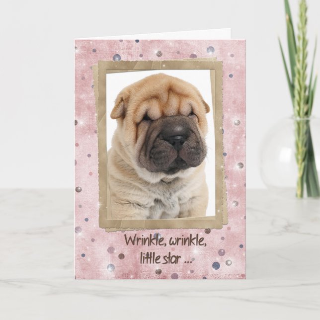 Chinese Shar-pei Birthday Humour Card (Front)