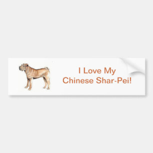 Chinese Shar-Pei Bumper Sticker