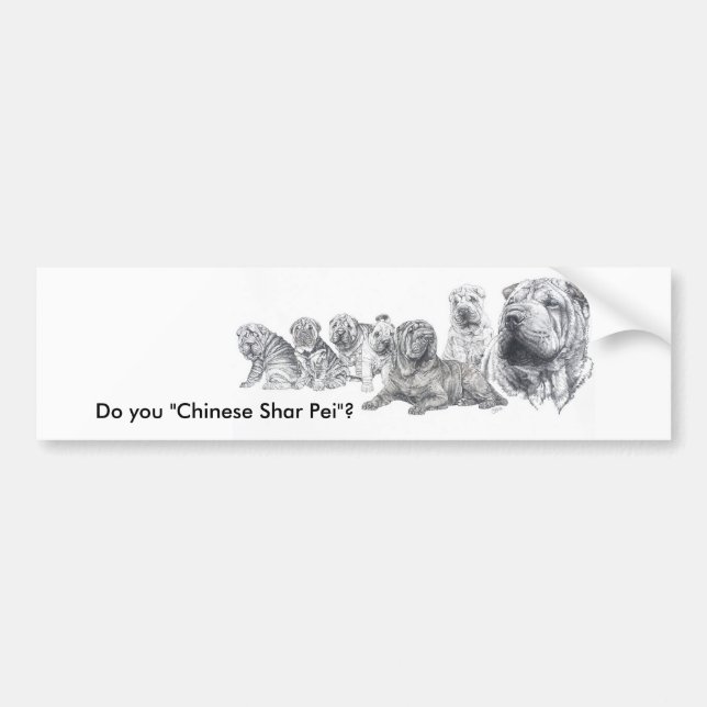 Chinese  Shar Pei Bumper Sticker (Front)
