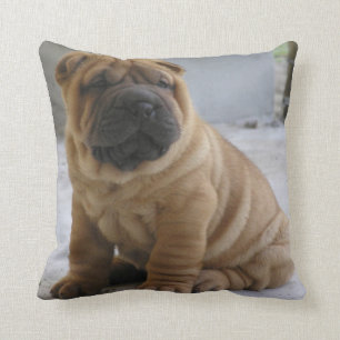 CHiNESE ShAR PEi Cushion