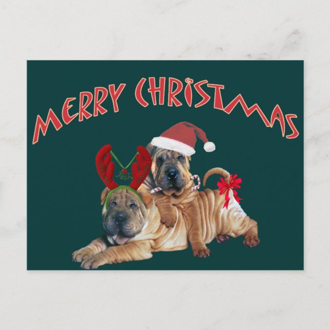 Chinese Shar-pei Merry Christmas Gifts Holiday Postcard (Front)