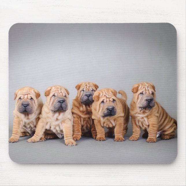 Chinese Shar pei puppies Mouse Mat (Front)