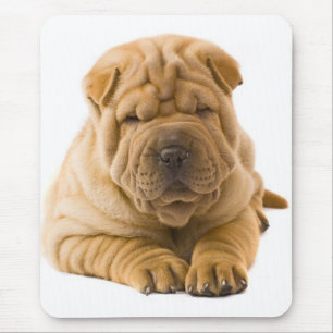 Chinese Shar Pei Puppy Dog - Sharpei Mouse Mat