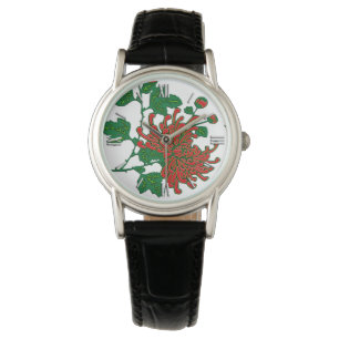 Chinese spider chrysanthemums  - deep red watch