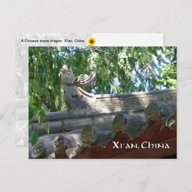 Chinese Stone Dragon, Xi'an, China - postcard (Front/Back)