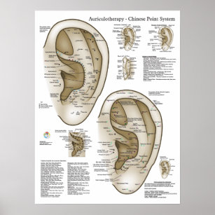 Chinese System of Auricular Ear Acupuncture Poster