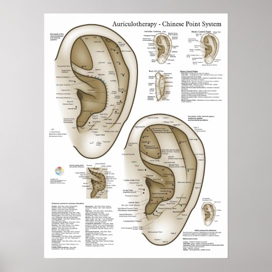 Ear acupuncture chart pdf image