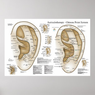 Chinese System of Auricular Ear Acupuncture Poster