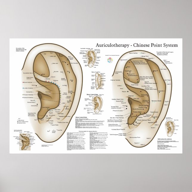 Chinese System of Auricular Ear Acupuncture Poster (Front)