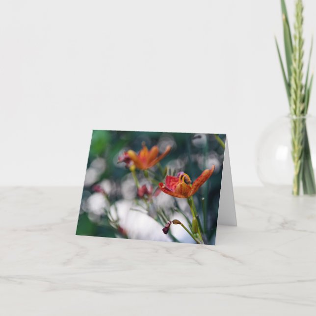 Chinese Tiger Lily Flowers Add Your Greeting Blank Card (Front)