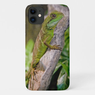 Chinese Water Dragon iPhone 11 Case