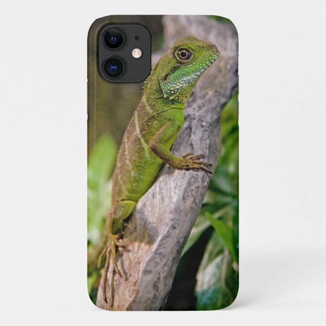Chinese Water Dragon iPhone 11 Case (Back)