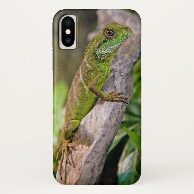 Chinese Water Dragon iPhone X Case (Back)