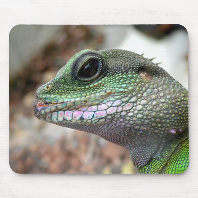 Chinese water dragon mouse mat (Front)