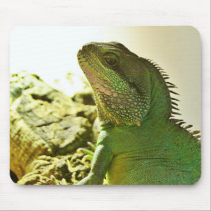 Chinese Water Dragon Mouse Mat