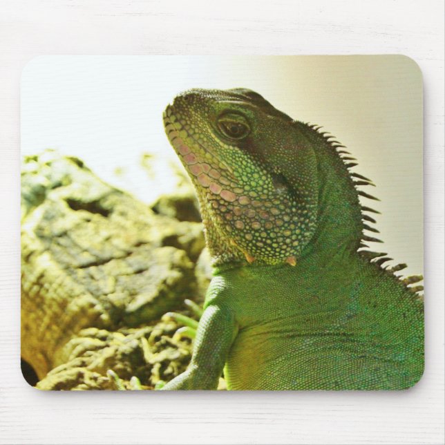Chinese Water Dragon Mouse Mat (Front)