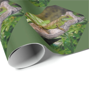 Chinese Water Dragon Wrapping Paper