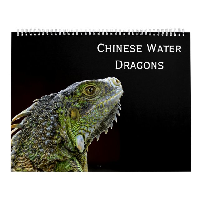 Chinese Water Dragons Calendar (Cover)