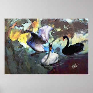 Chinese Watercolor Style Swans Swimming Poster