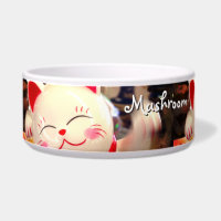 Chinese Waving Cat Photo Custom Name Fun Cute Pet