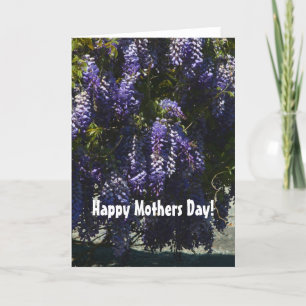Chinese Wisteria Mothers' Day Card