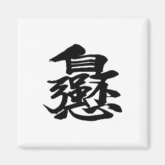 Chinese Words Characters Magnets Square