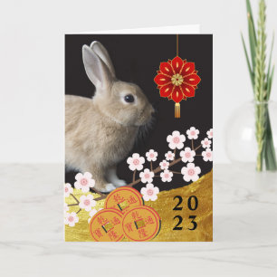 Chinese Year of the Rabbit Cherry Blossoms Coins Card