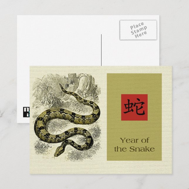 Chinese Year of the Snake Postcards (Front/Back)