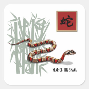 Chinese Year of the Snake Square Sticker